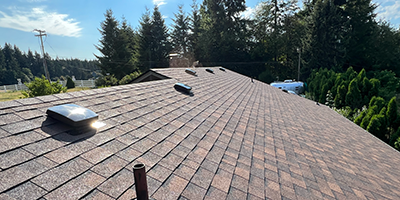 Residential home roof with a skylight and tressin background
