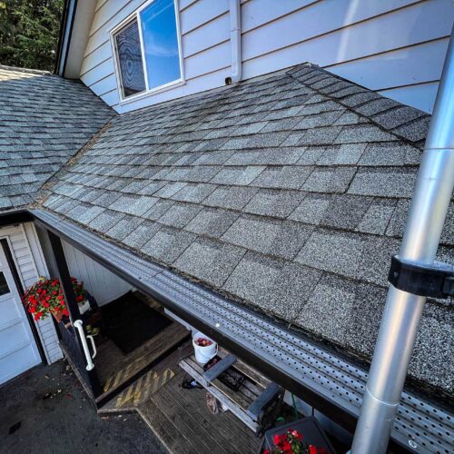 Metal gutter below new dark colored roof shingles