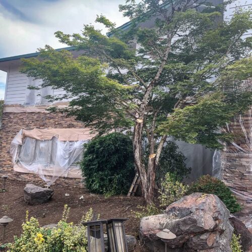 Newly painted grey colored two story home with stone paneling